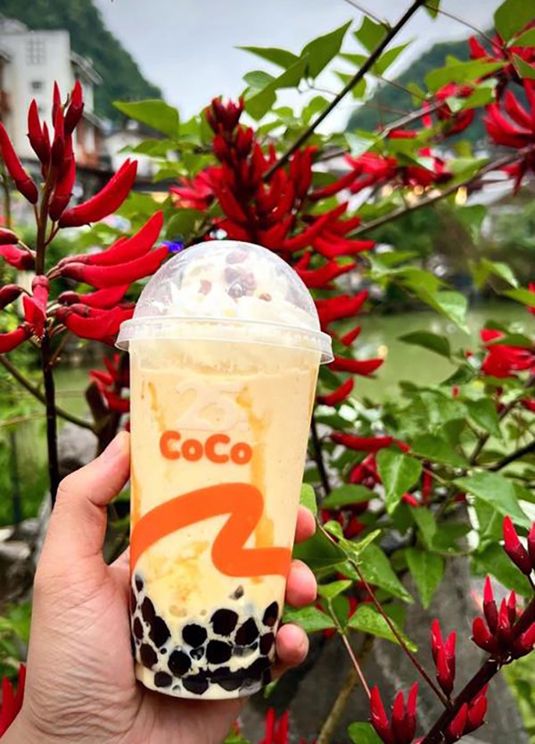 深入了解CoCo奶茶的加盟成本 深入了解CoCo奶茶的加盟成本